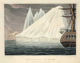 A bear plunging into the sea, illustration from 